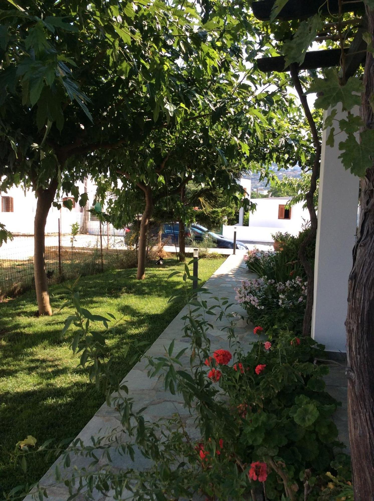 Eleana Studios Skyros Esterno foto