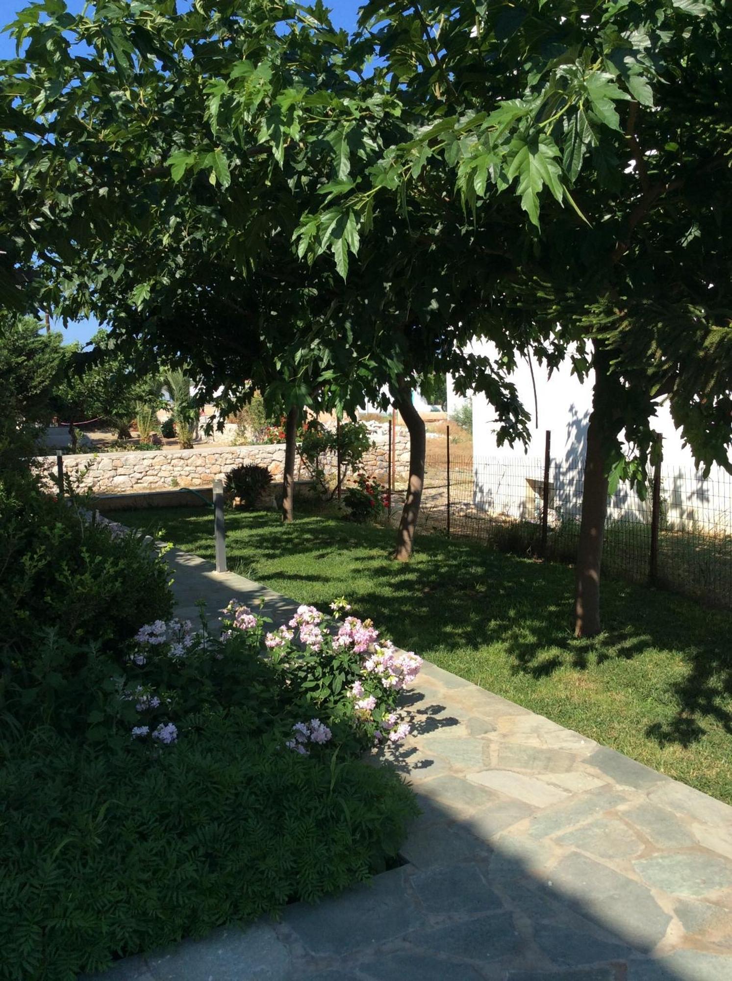 Eleana Studios Skyros Esterno foto