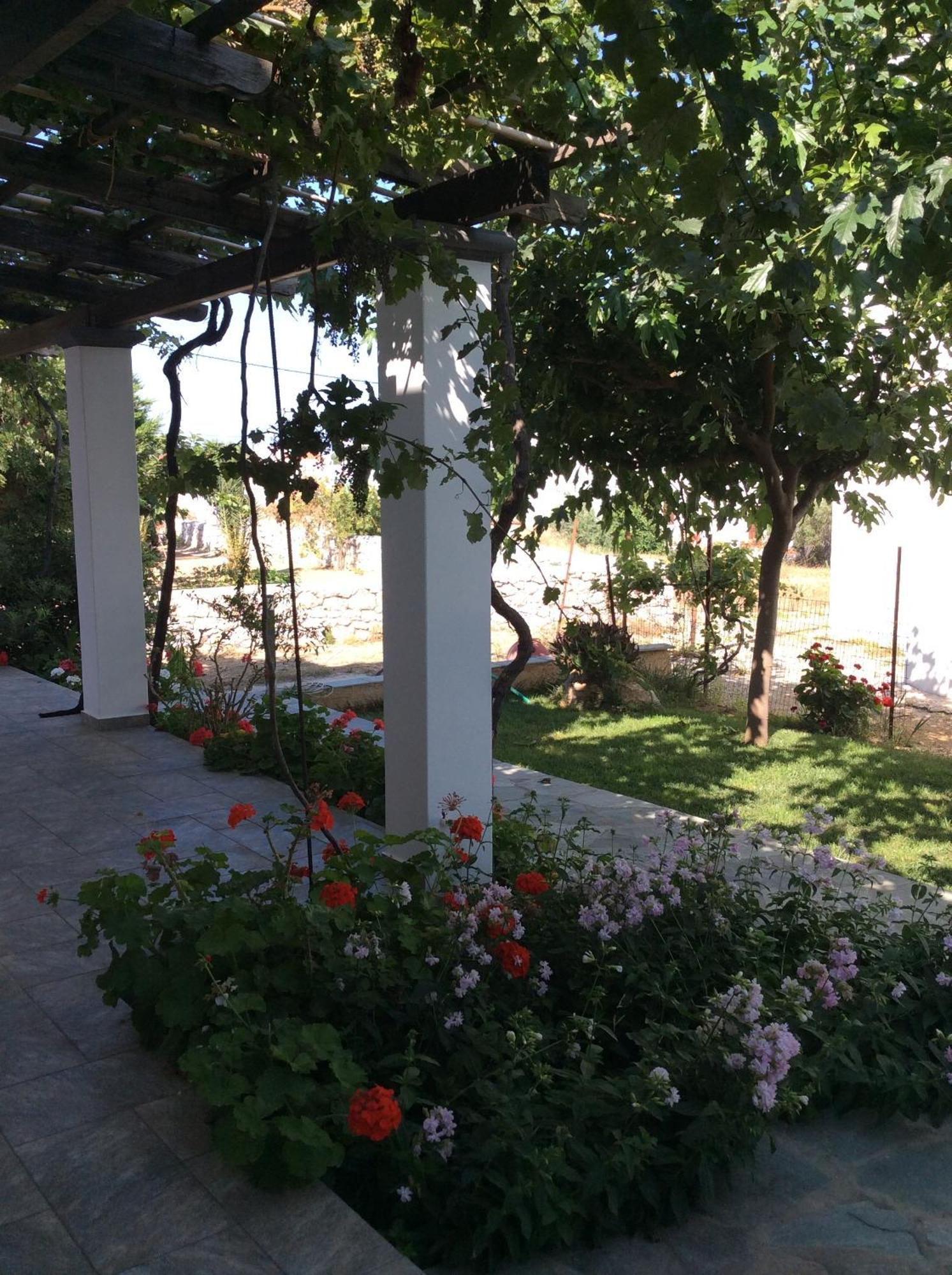 Eleana Studios Skyros Esterno foto